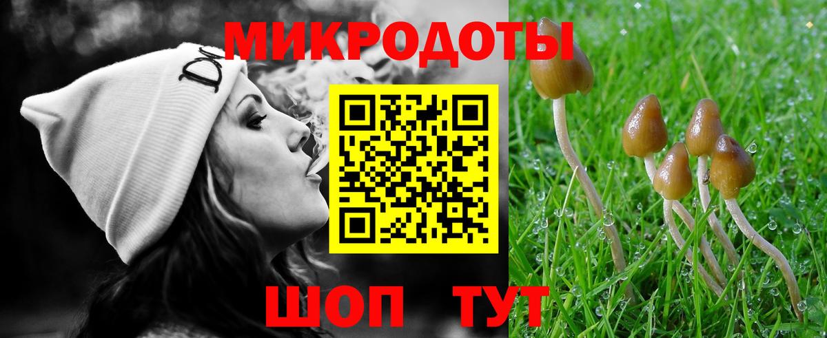 Коряжма  Галлюциногенные грибы прущие грибы  Галлюциногенные грибы мухоморы  Вход с VPN 