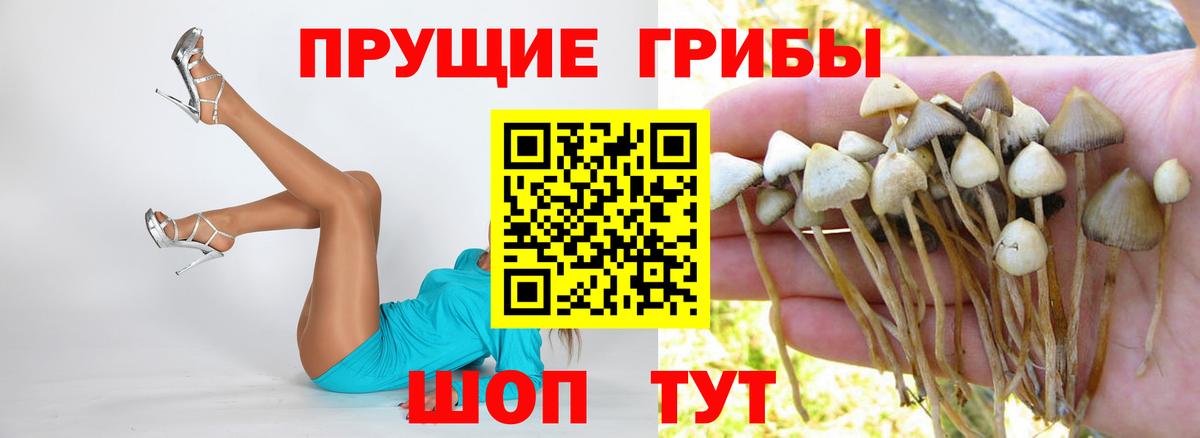 Галлюциногенные грибы MAGIC MUSHROOMS Коряжма